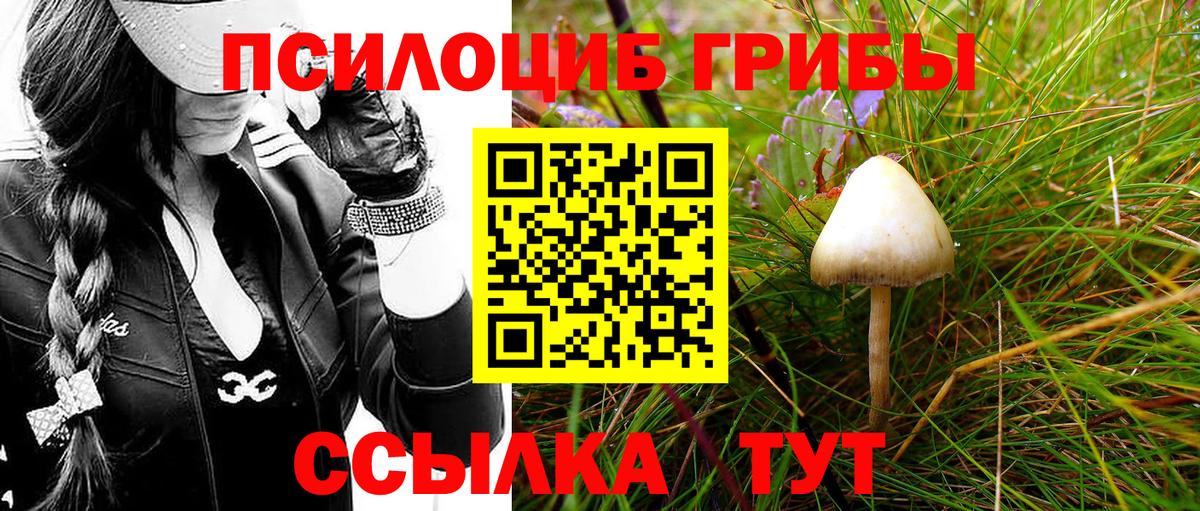 Галлюциногенные грибы GOLDEN TEACHER Бузулук